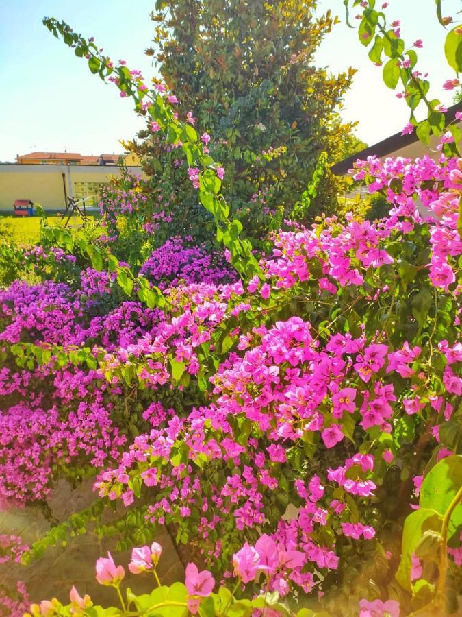 B&B Villa La Bouganville Камайоре Екстер'єр фото