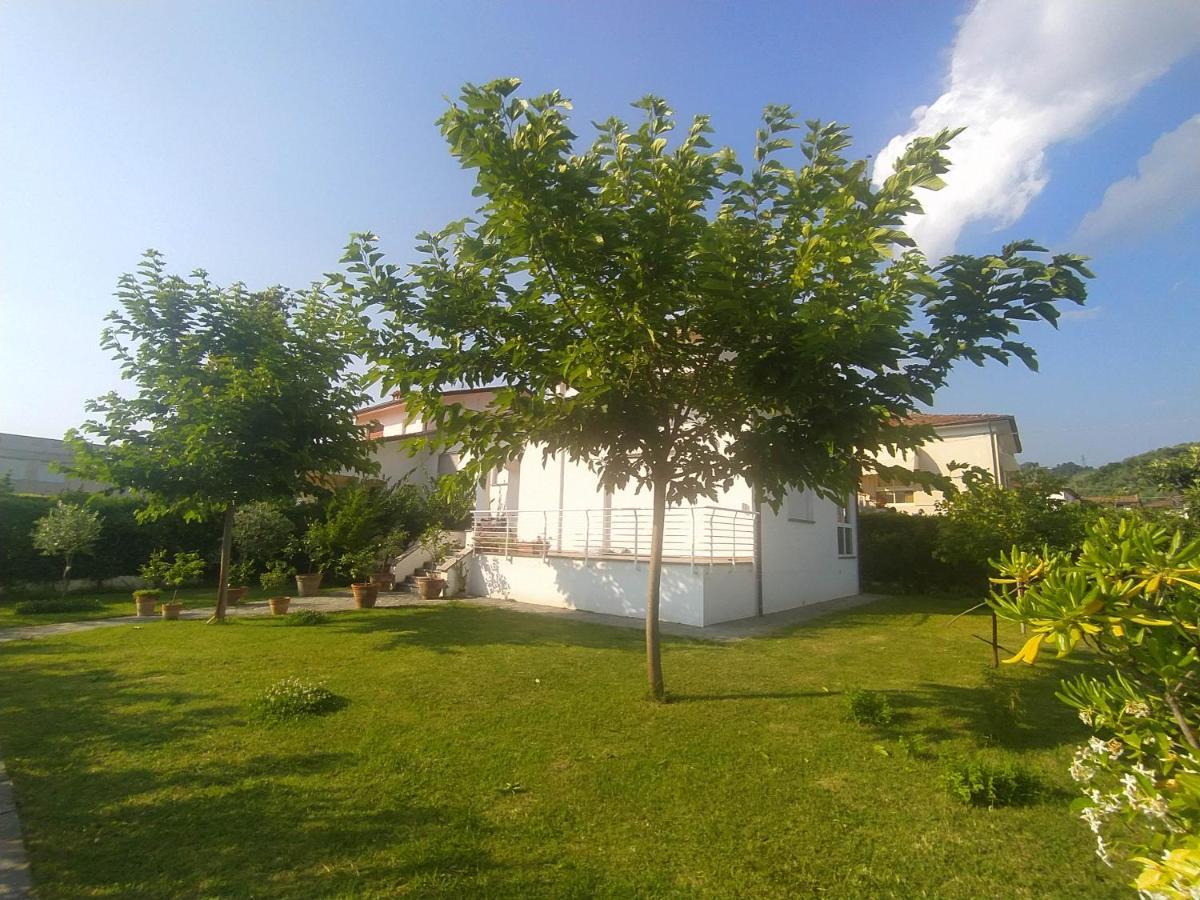 B&B Villa La Bouganville Камайоре Екстер'єр фото
