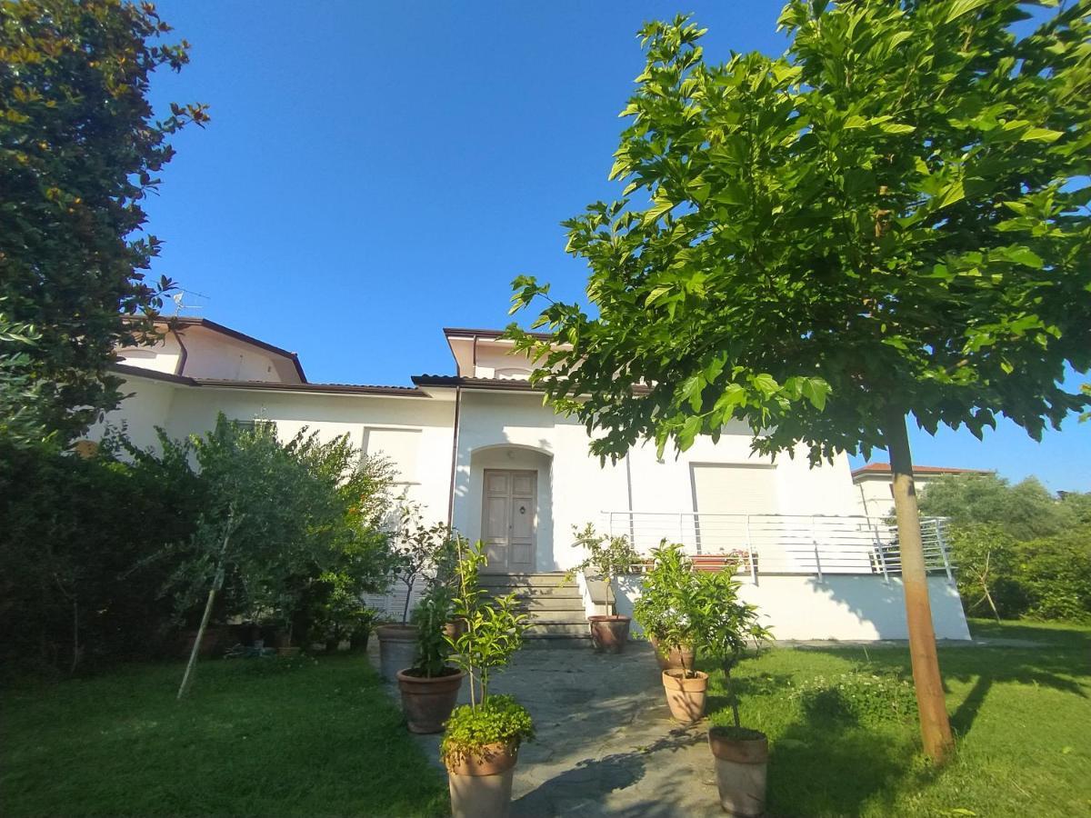 B&B Villa La Bouganville Камайоре Екстер'єр фото