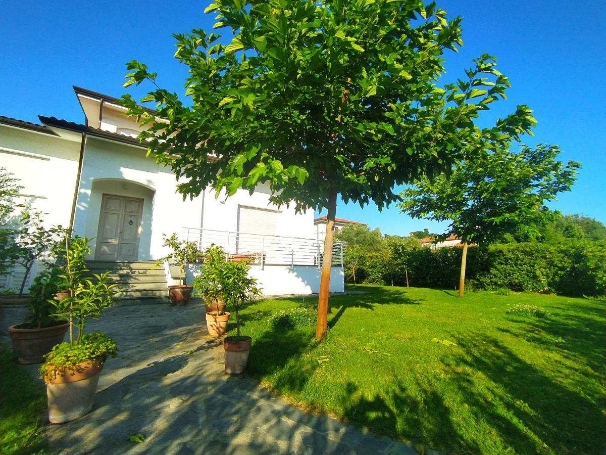 B&B Villa La Bouganville Камайоре Екстер'єр фото