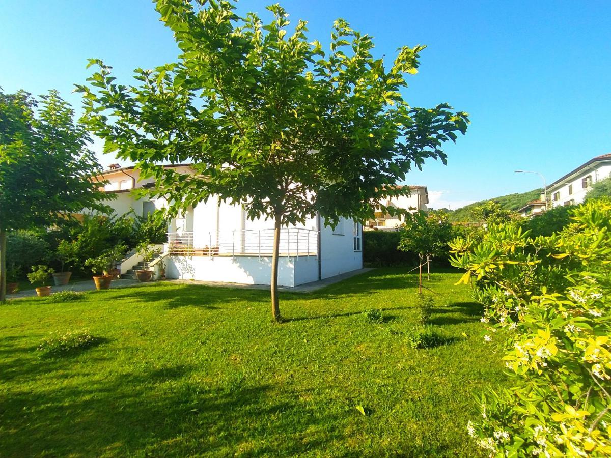 B&B Villa La Bouganville Камайоре Екстер'єр фото