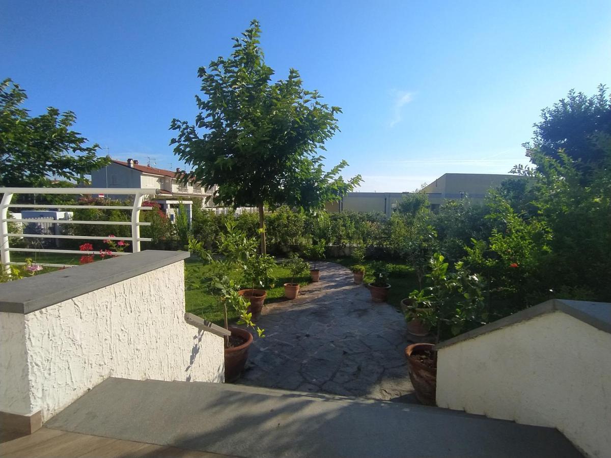 B&B Villa La Bouganville Камайоре Екстер'єр фото