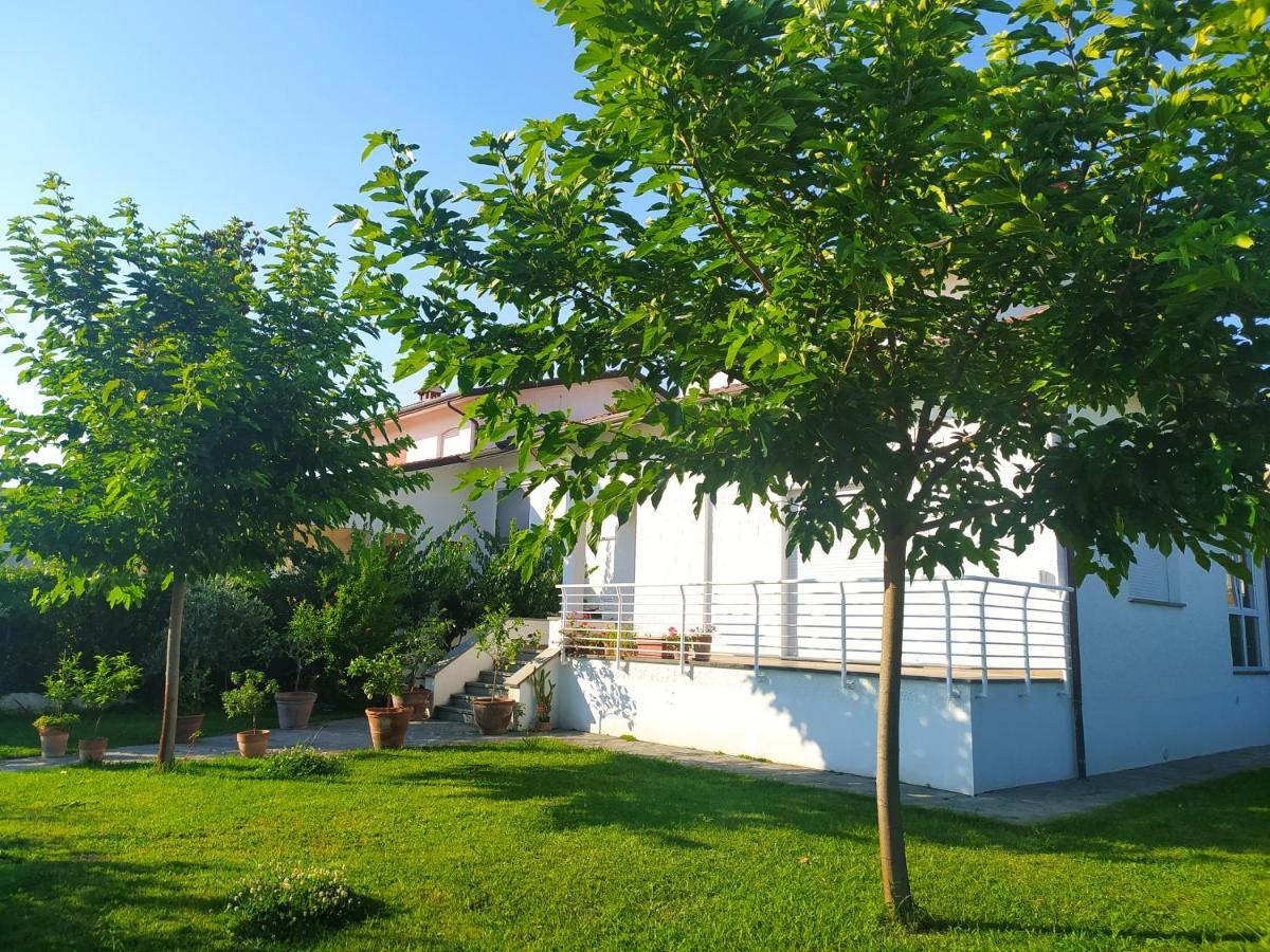 B&B Villa La Bouganville Камайоре Екстер'єр фото